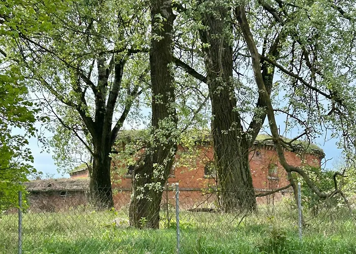 Studio Modlin