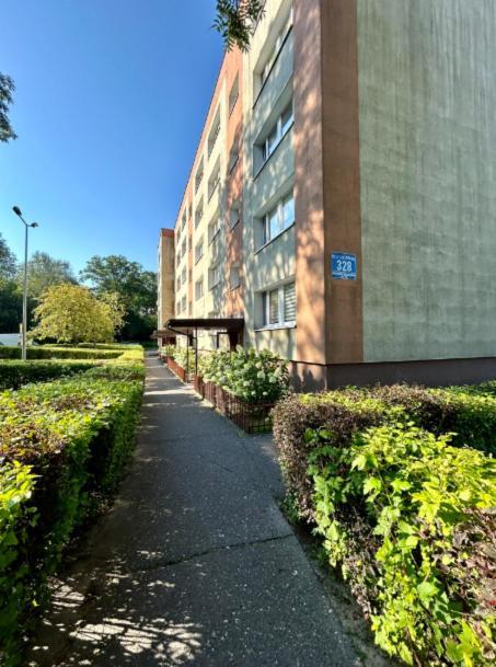 Modlin Apartment *