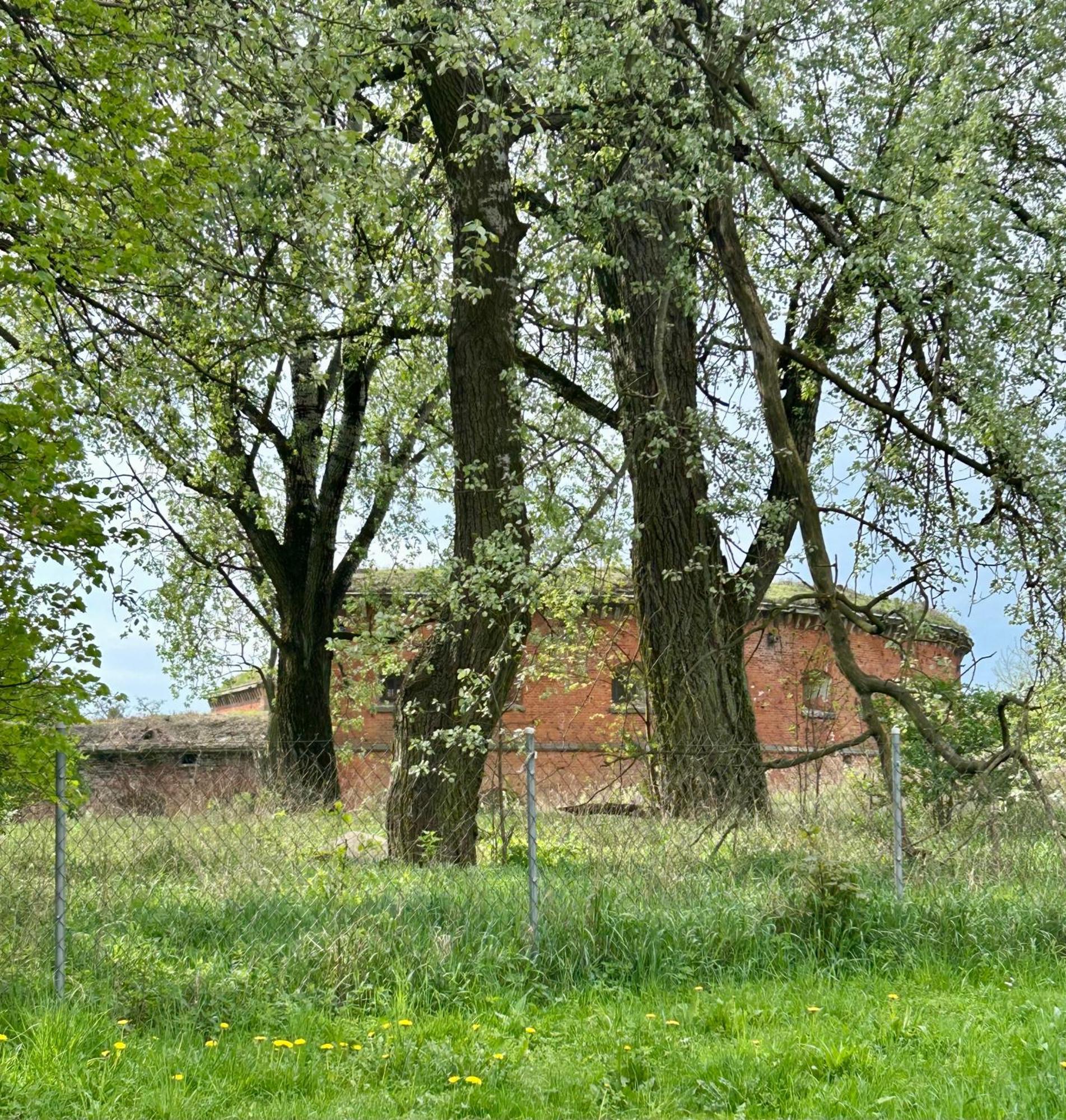 Modlin * Nowy Dwór Mazowiecki